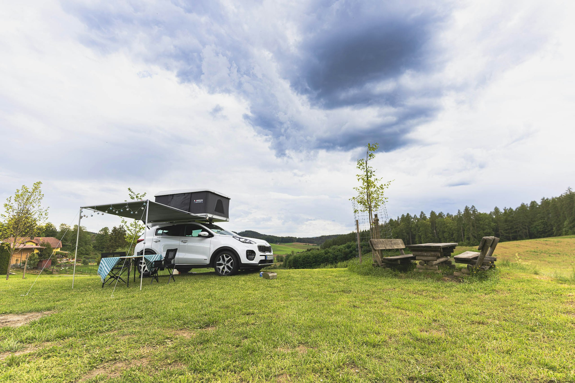 Wiese am Hirschgehege