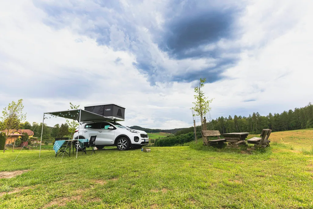 Wiese am Hirschgehege