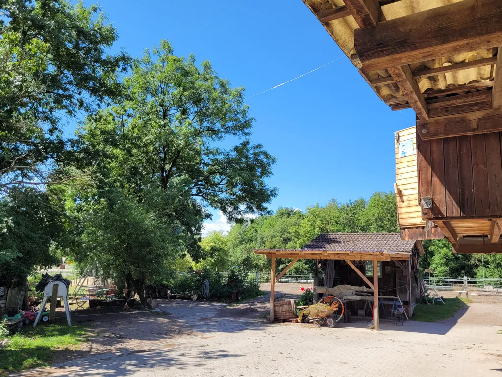 Bild von Nadine für den Spot 3647