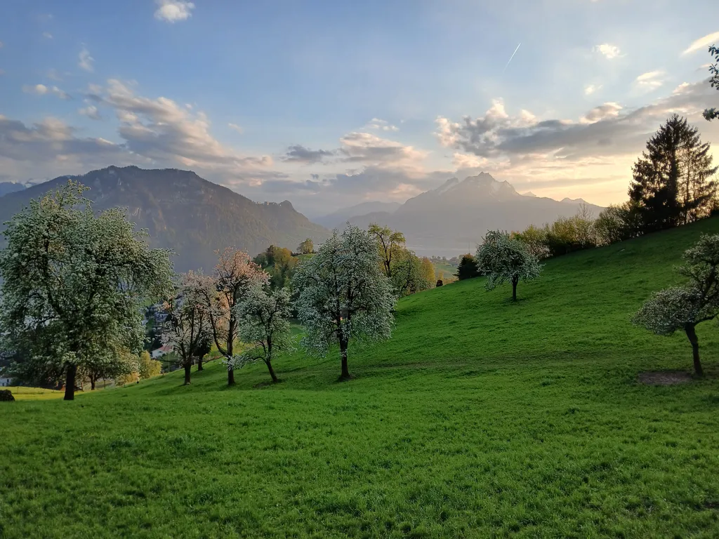 Traumhafter Ausblick auf See & Alpen, «Bödeli»