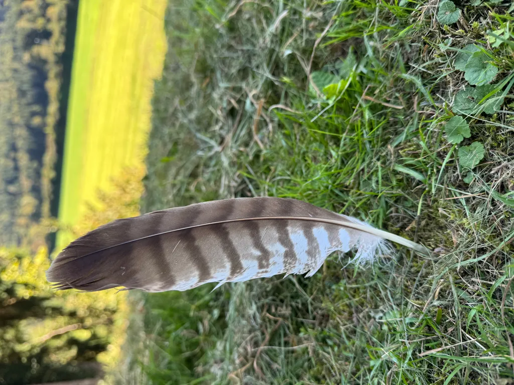 Bild von Melanija für den Spot 1001