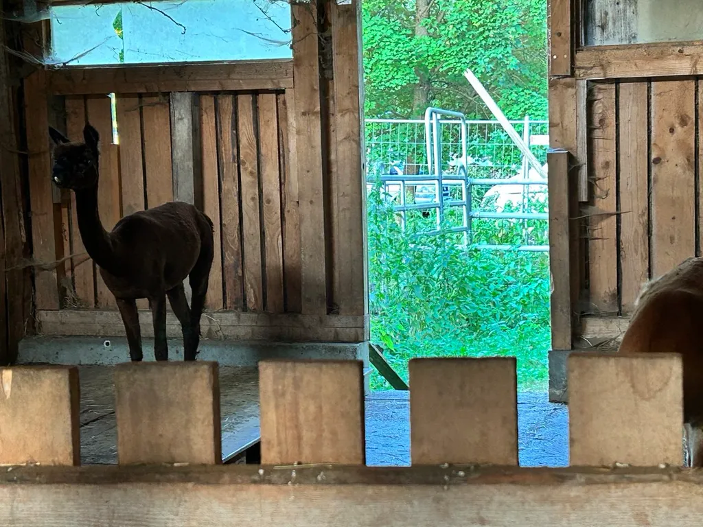 Bild von Olga für den Spot 1547