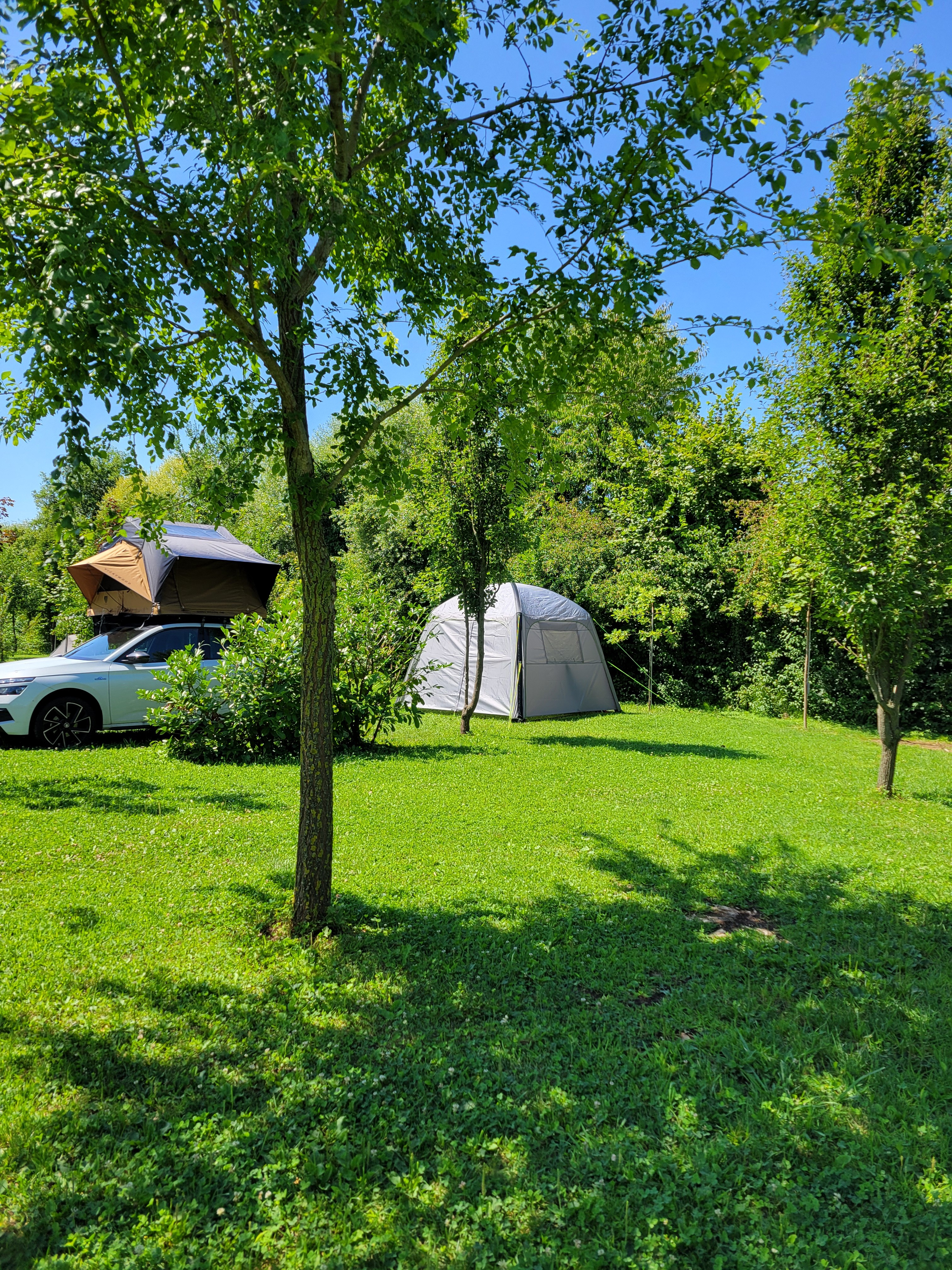 Agricampeggio Pini in Fiore