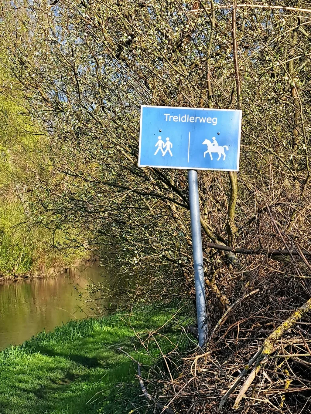 Stellplatz unter Kirschbäumen