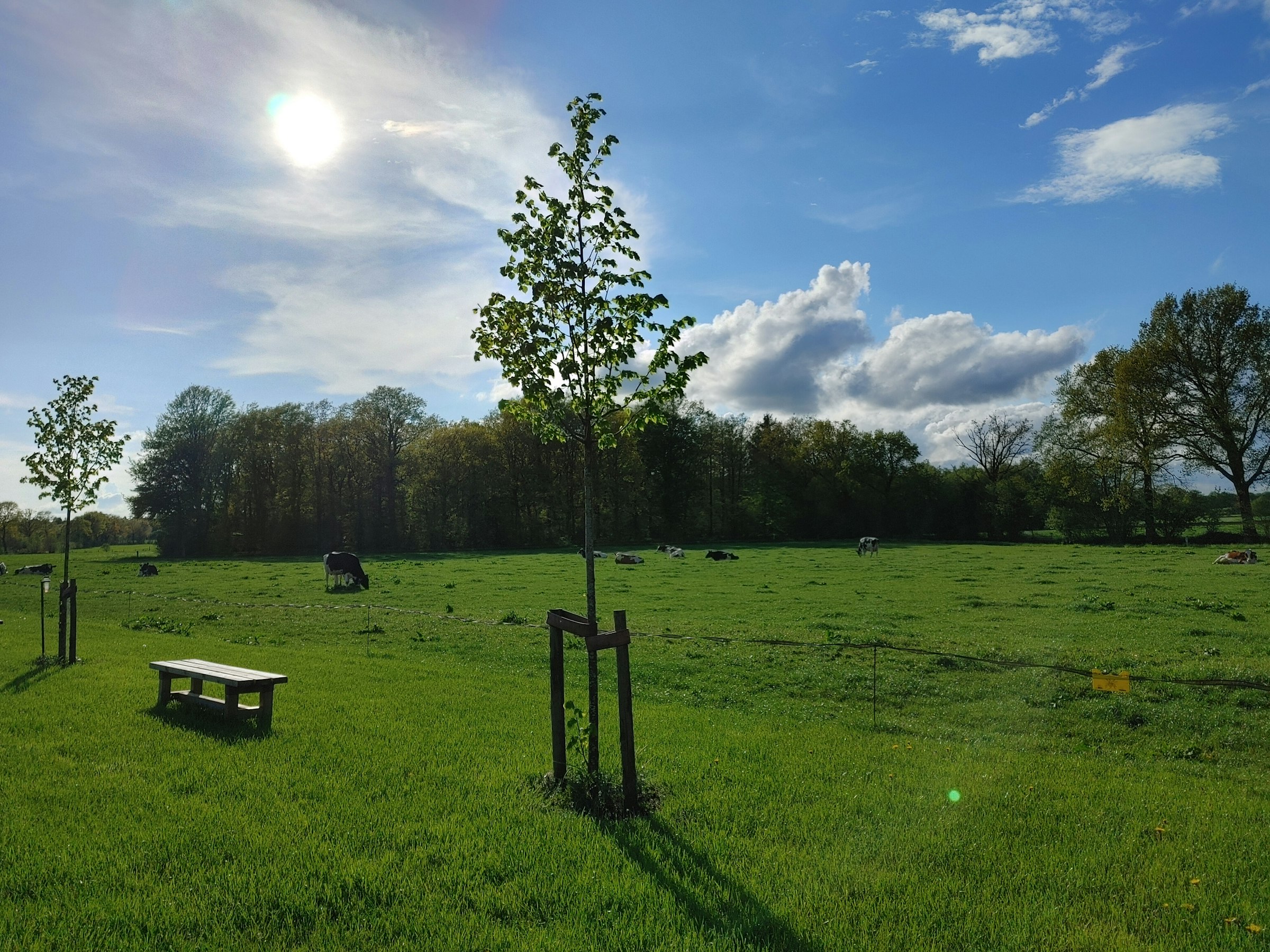 Auszeit im Wichtelgarten