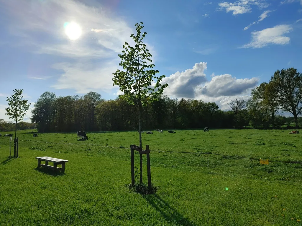 Auszeit im Wichtelgarten