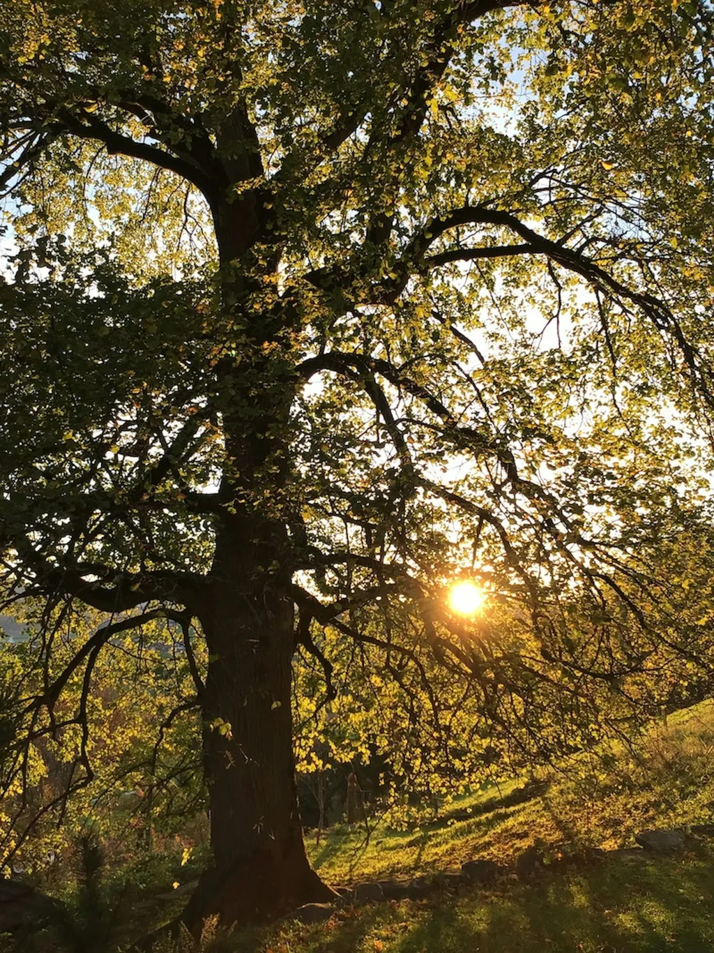 Zimmer mit Outdoorschlafmöglichkeit