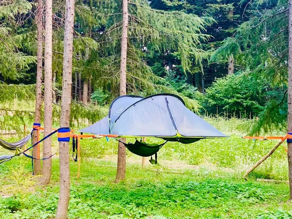 Il Sottobosco - Tree Tent