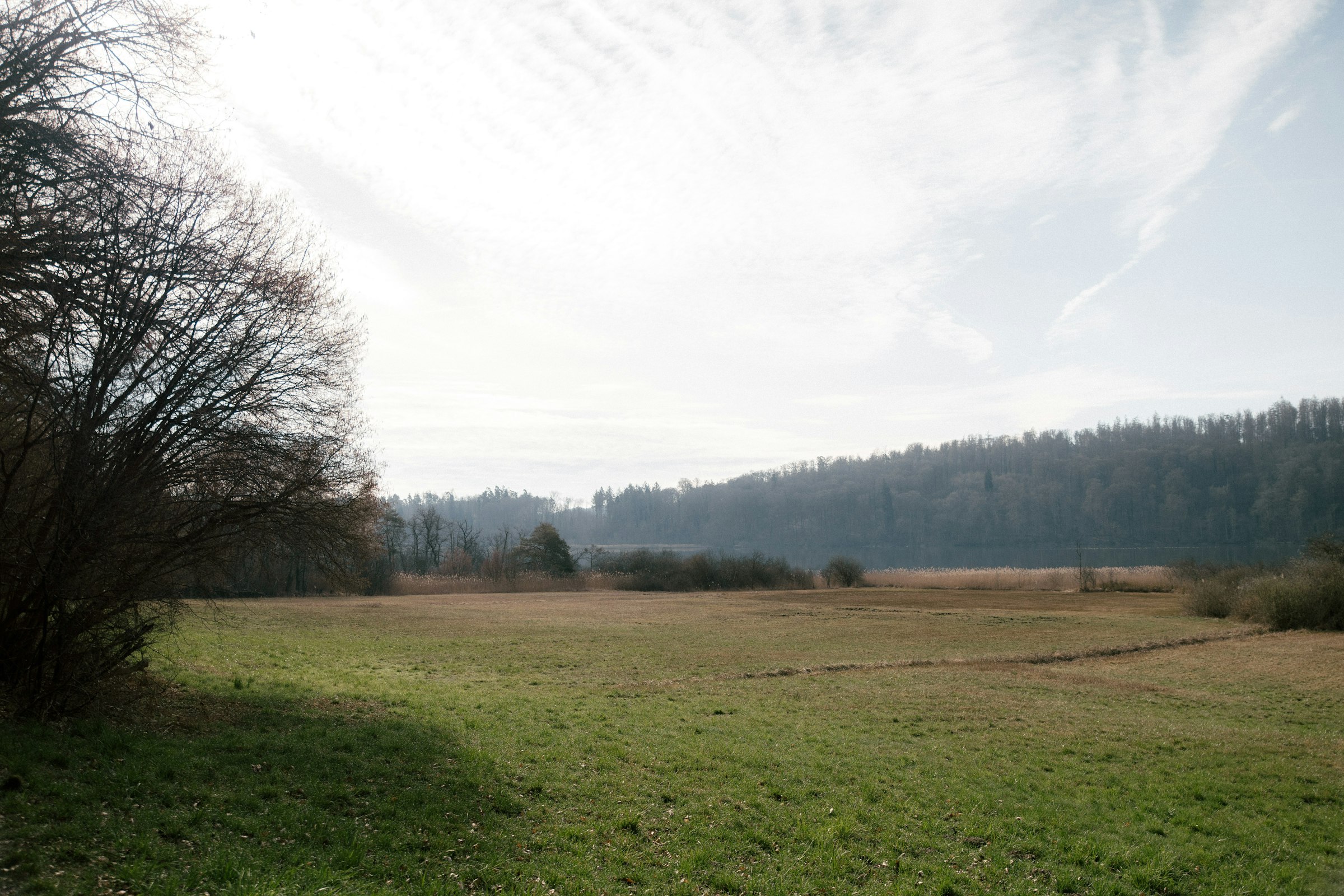 Hirtenhof — photo 8