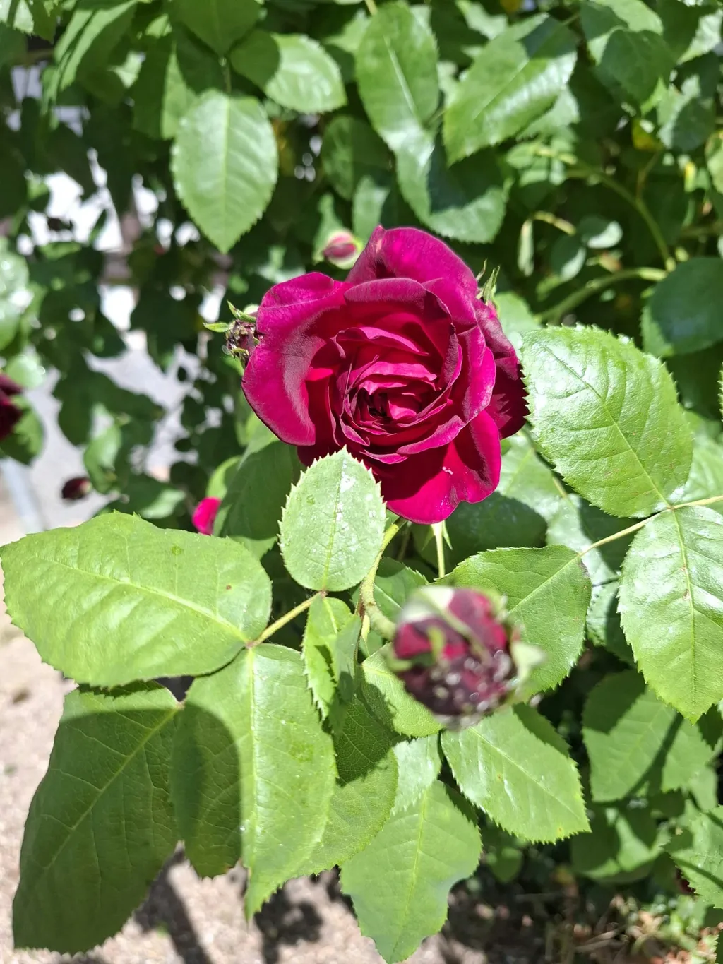Idyllische Lage a/Panoramaweg