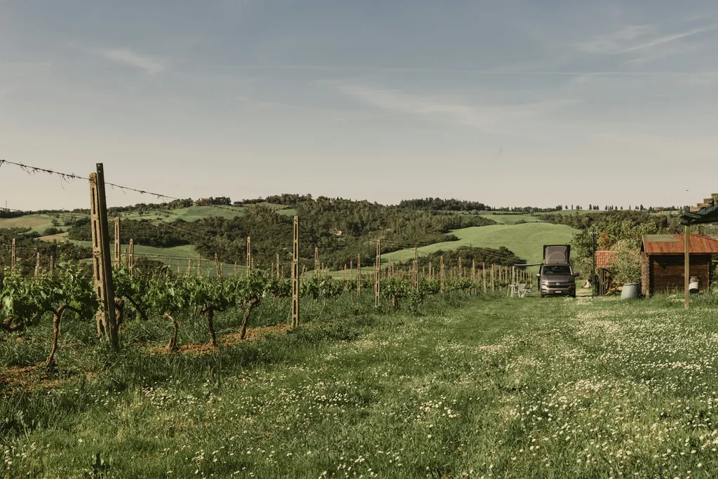 Camp Agriturismo Le Selvole