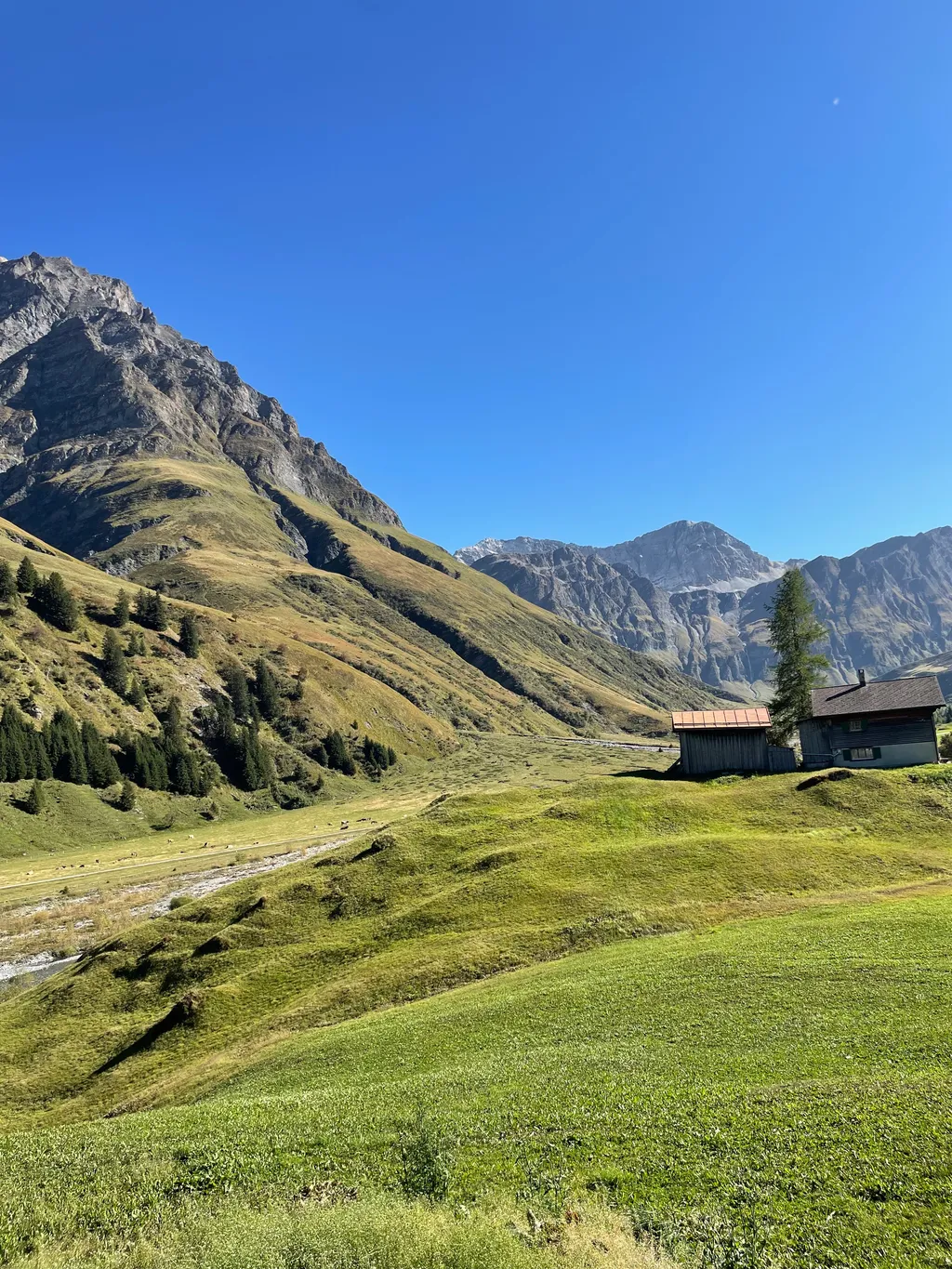 Bild von Samy für den Spot 773