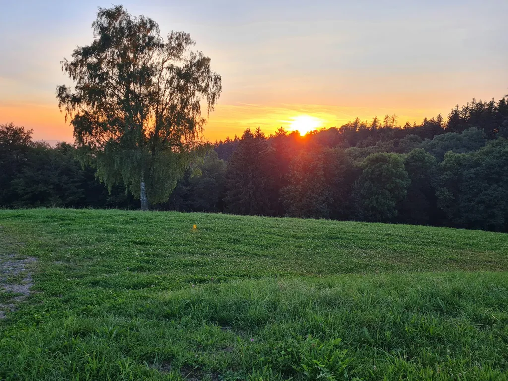 Natur pur – beim Kölble Hof – Windrad