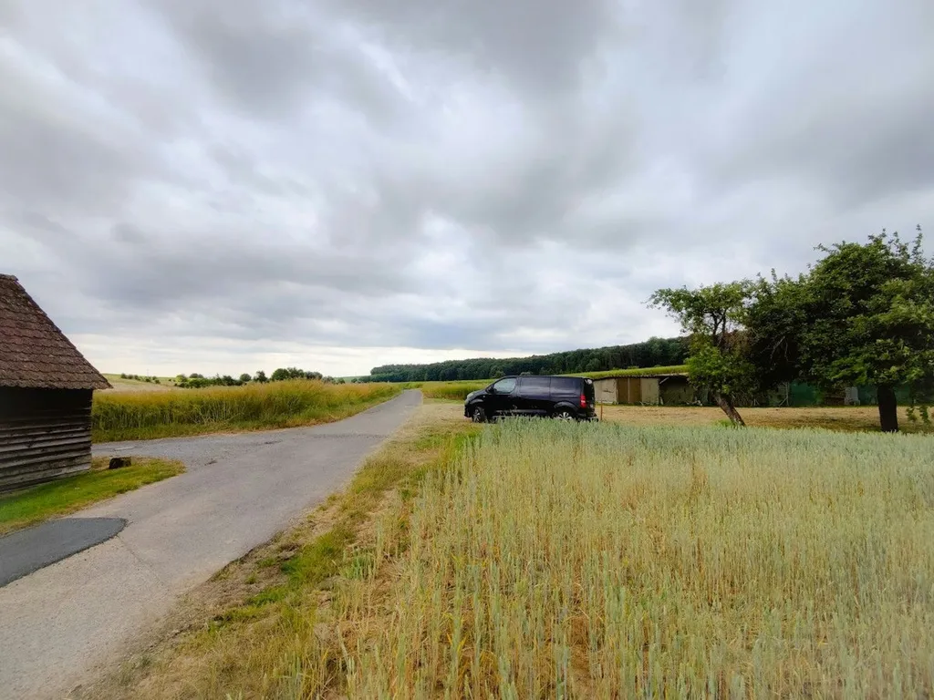 Obstbaum-Wiese inmitten von Feldern