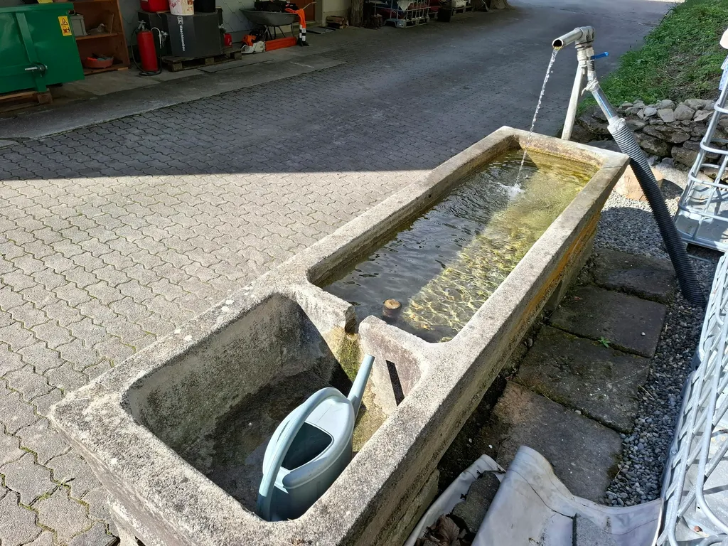 Zelten im Tannenmoos