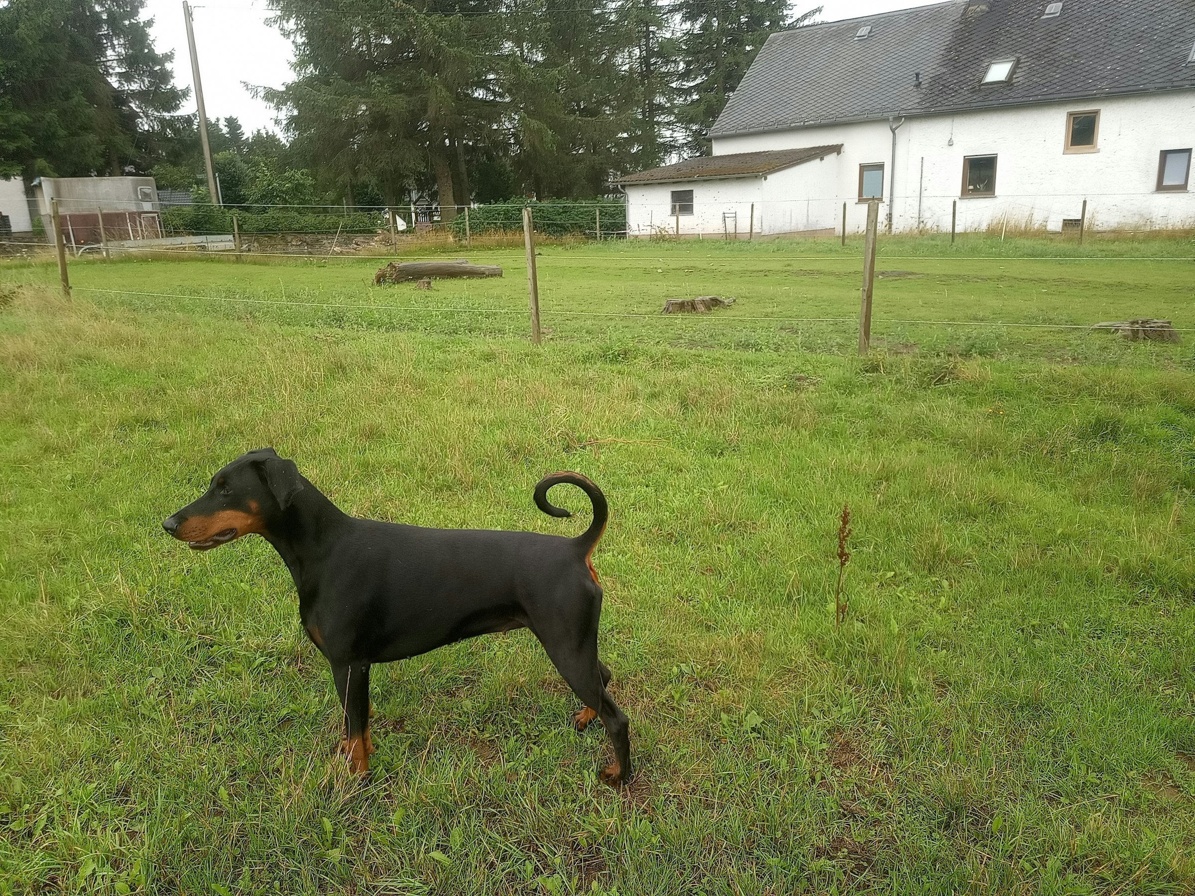 Praktischer kleiner Stellplatz