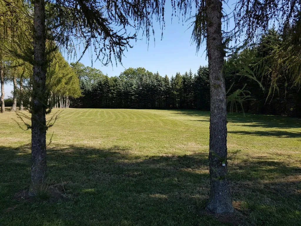 Wiese am Ortsrand
