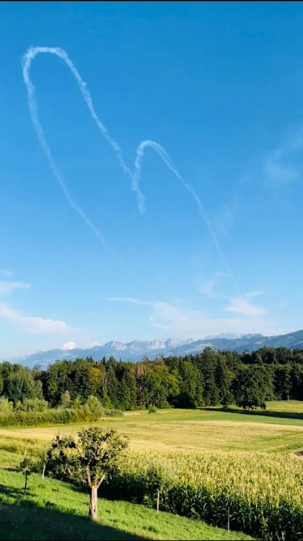 Biohof Aegerten oberhalb Zürichsee