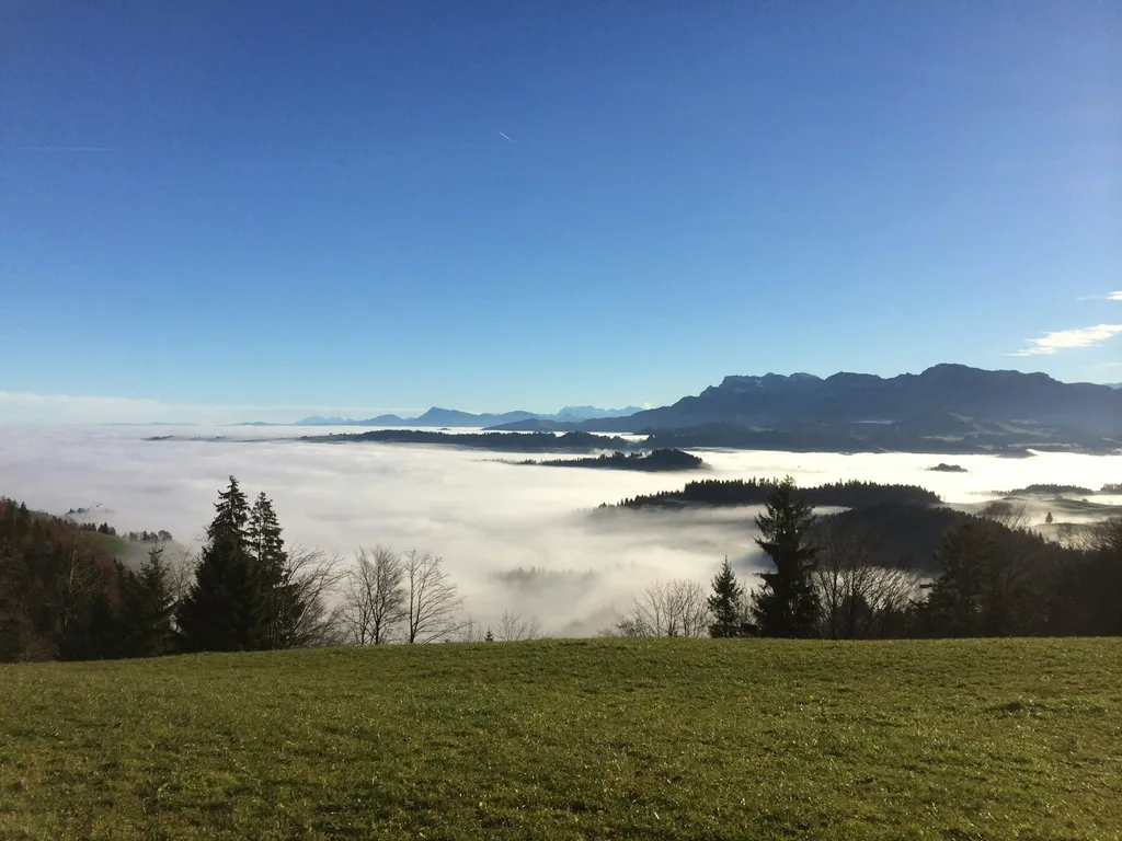 Am Fuss des Napfs (Holzwäge)