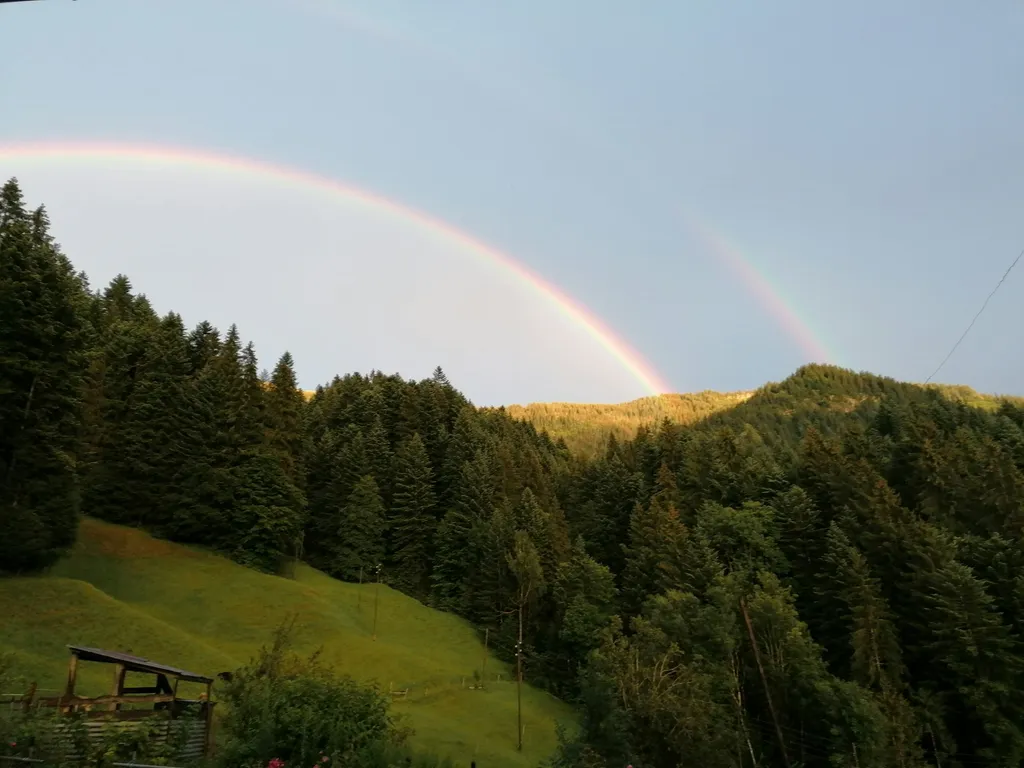 Natur pur, mit Angebot Ponyreiten