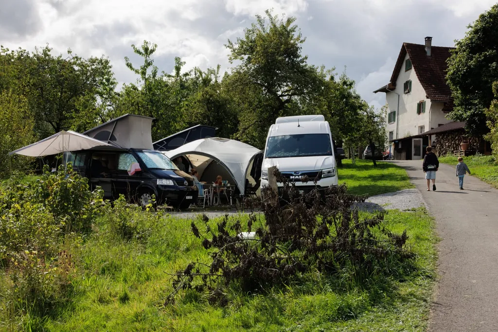 Bild von Silvan für den Spot 254