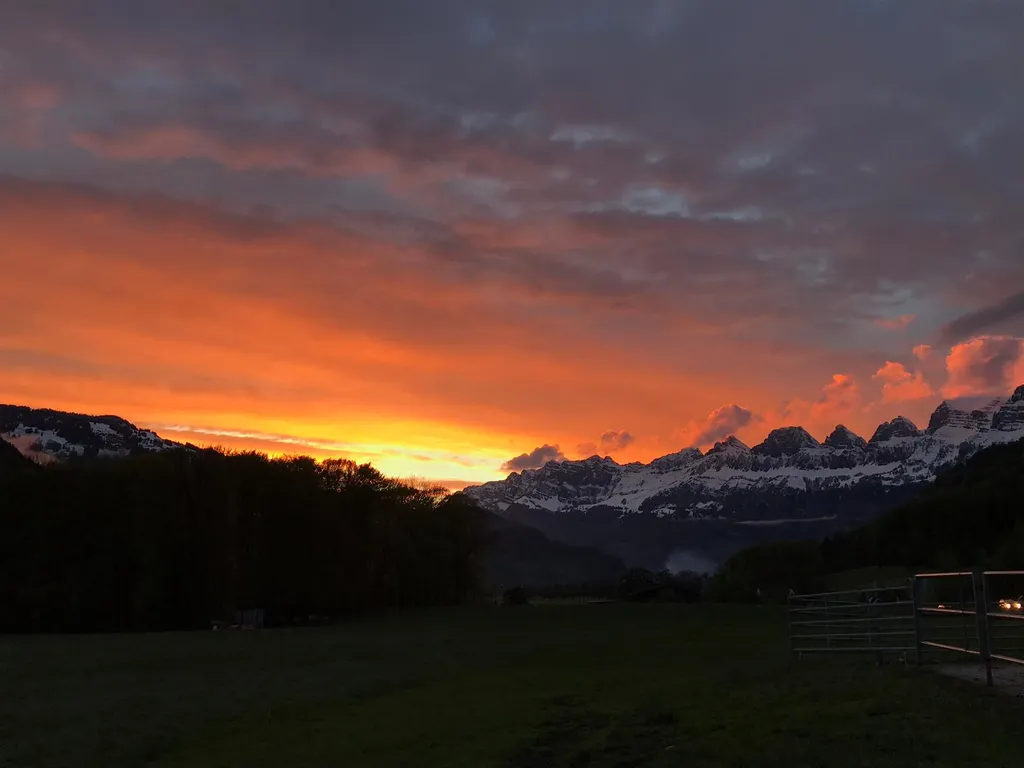 Einmal herrlich Schlafen auf dem Marchhof
