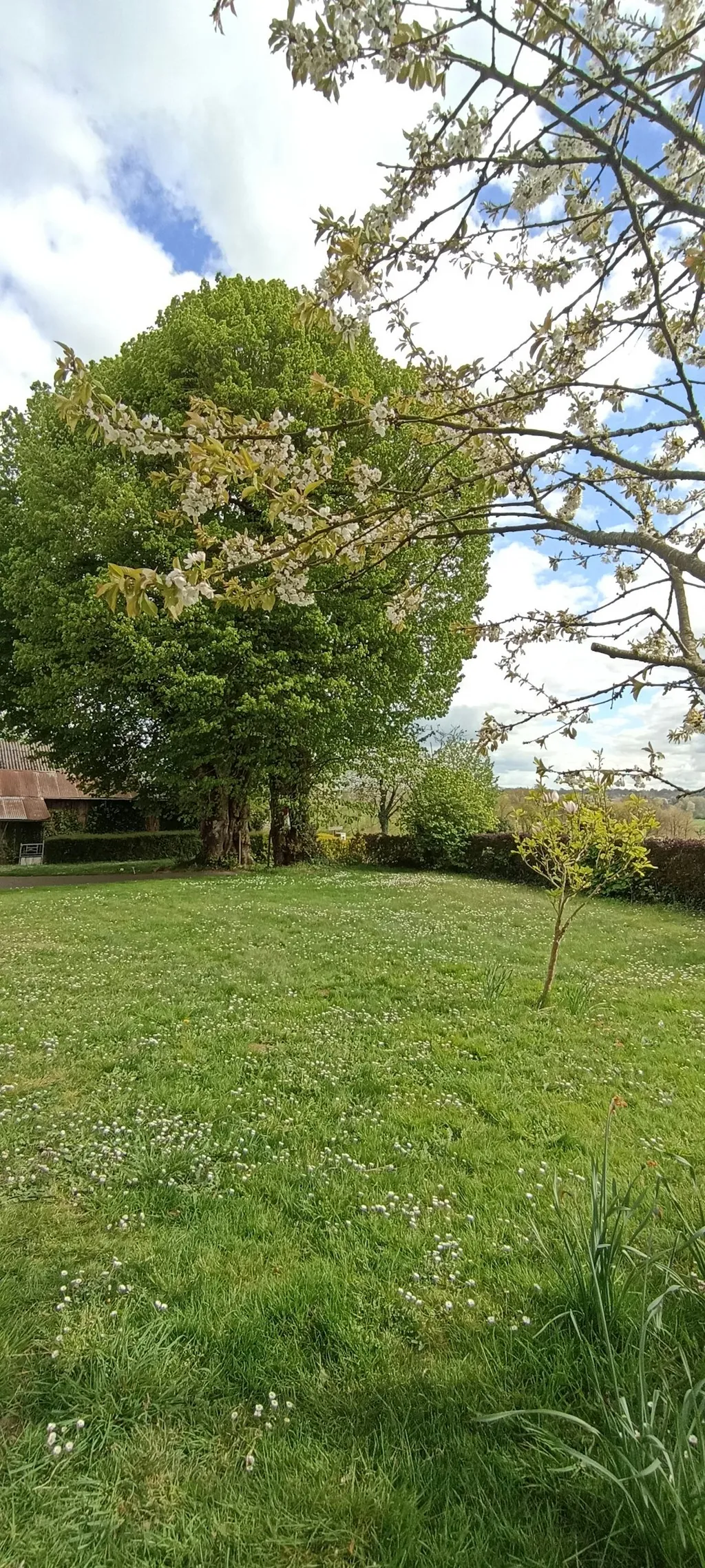 Ruhiges Camping in der Normandie