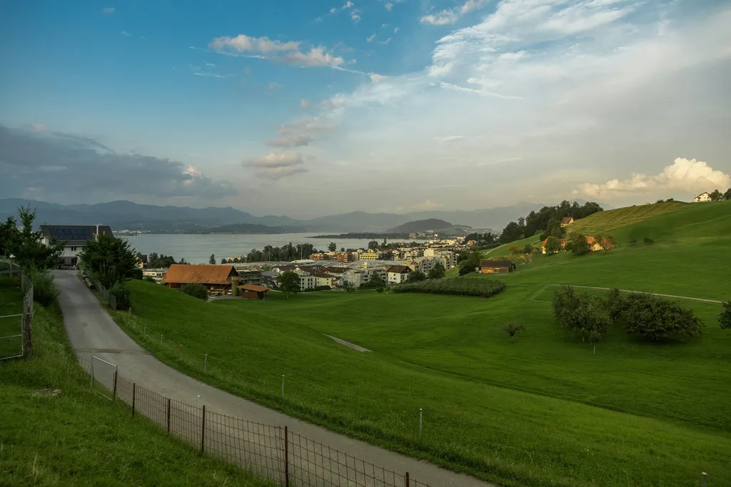 Beim Weingut Altendorf - am Rebberg