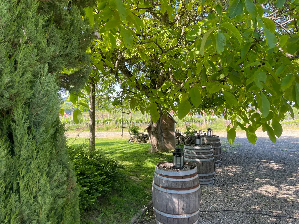 Im Weinberg mit einmaliger Aussicht