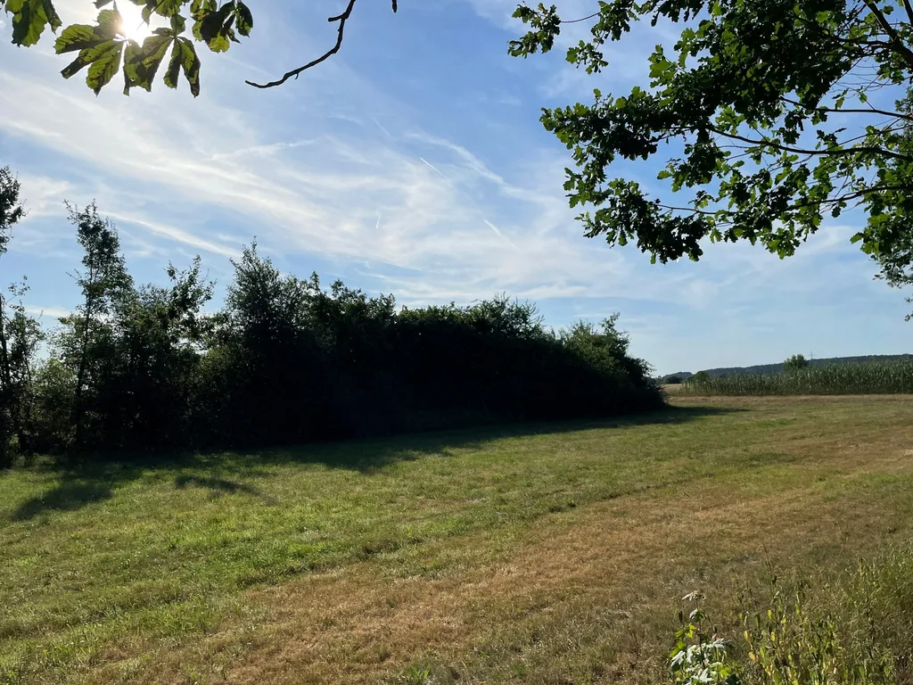 Idyllische Wiese nahe Altmühlsee
