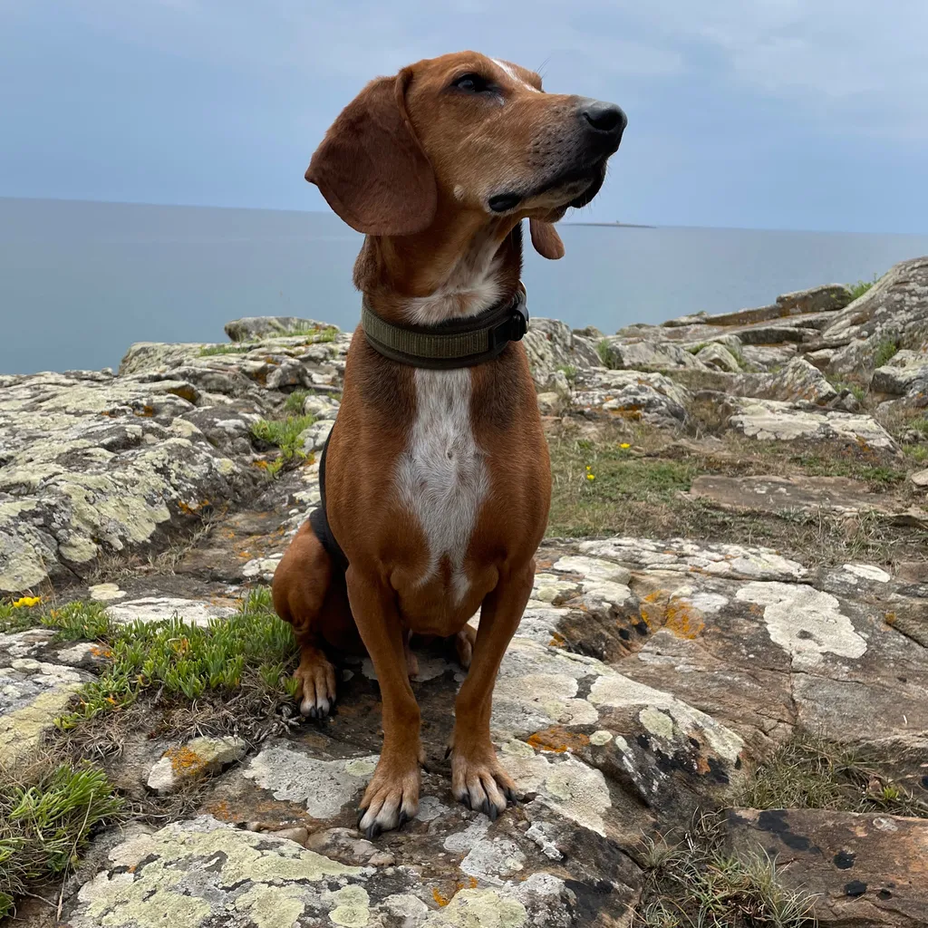 Profilbild von Jürg