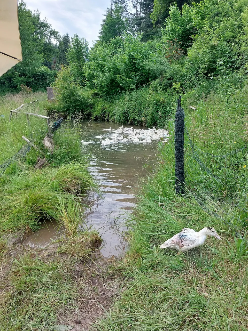 Ruhiger Stellplatz auf Hofstelle