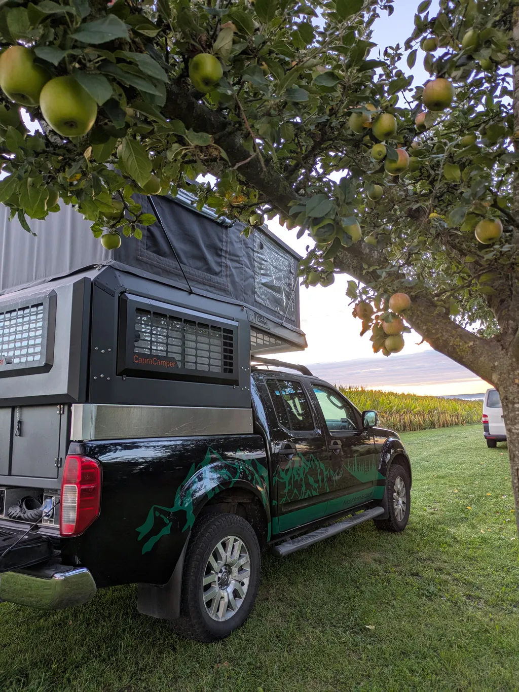 Image de She-La pour le spot 1717