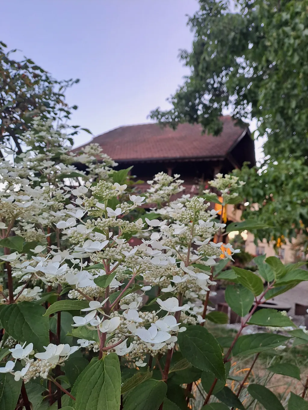Bild von Sascha für den Spot 268