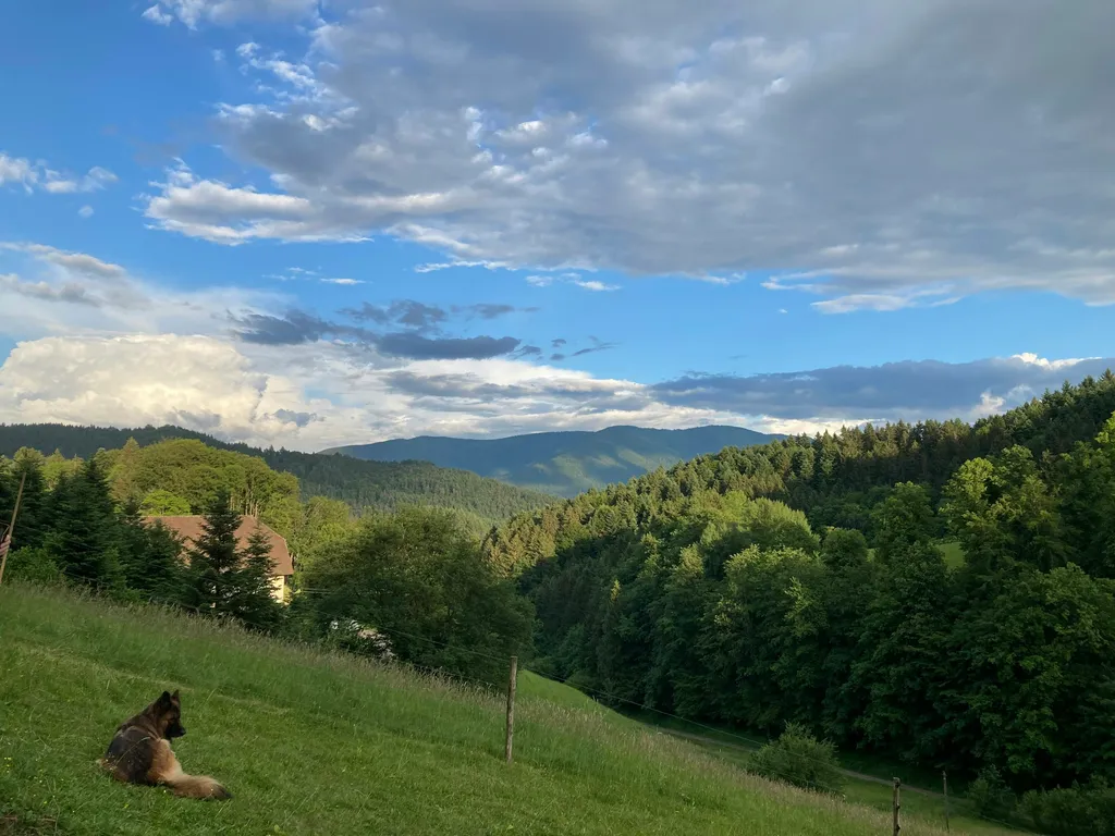 Naturbaden-Stellplatz Hohe Tannen