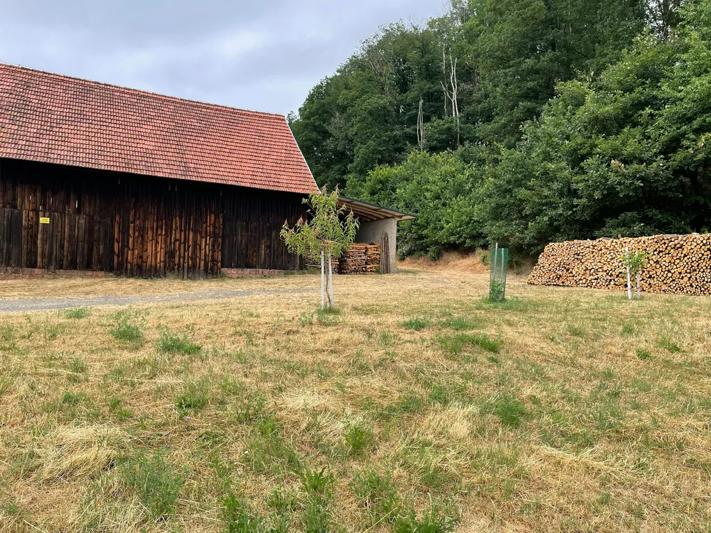 Blick ins Tal hinter der Scheune