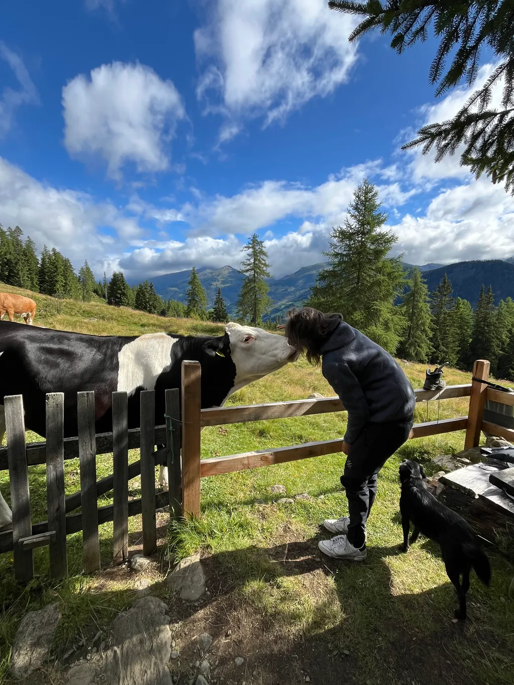 Bild von Jule für den Spot 1359