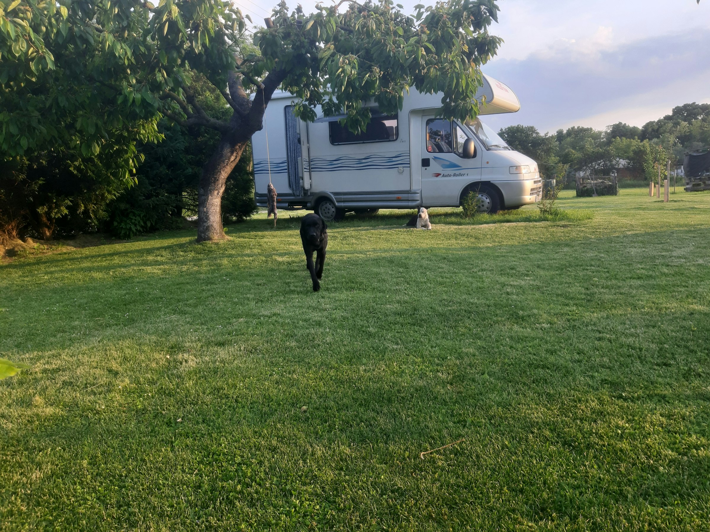 Zwischen Wien und Budapest bei Györ