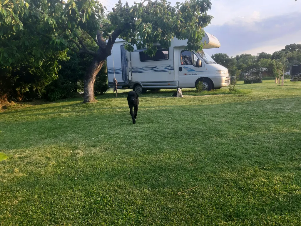 Zwischen Wien und Budapest bei Györ