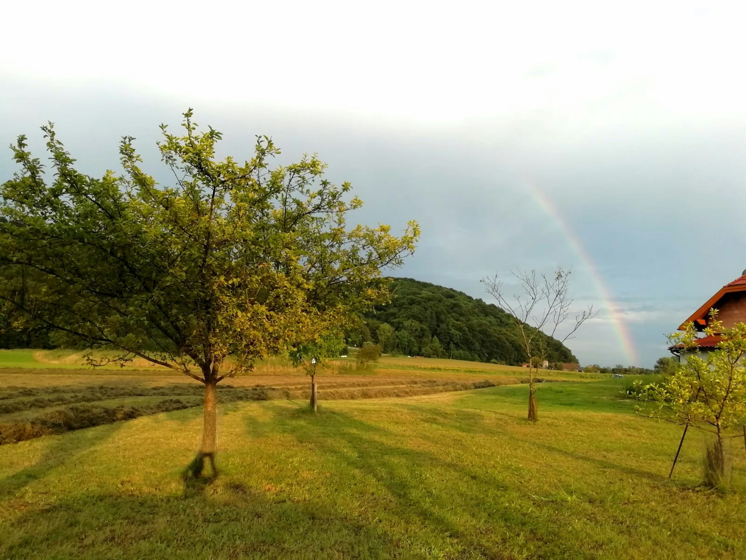 Stellplatz im Tal der Könige