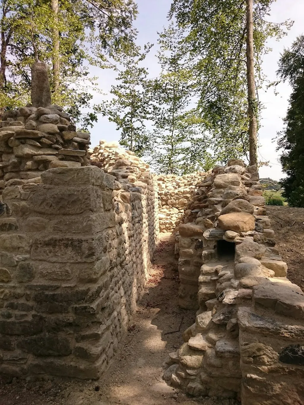 Die Ruine Altenburg im Wald.