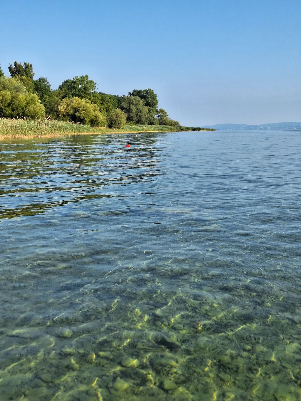 Bild von Alfred für den Spot 470