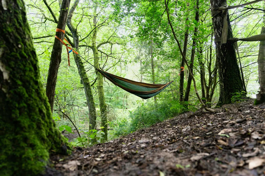Wilde Übernachtung im Baumzelt