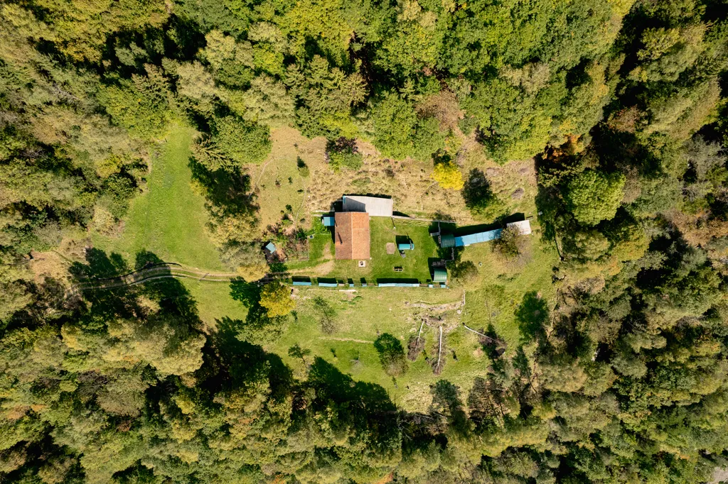 Bild von Leo für den Spot 4223