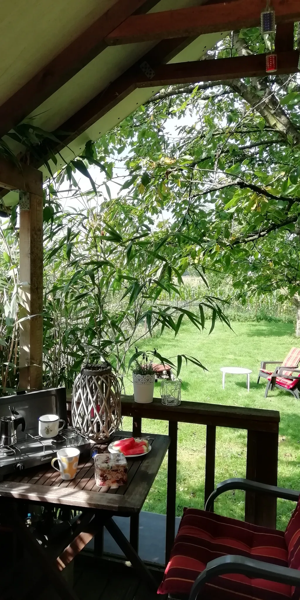 Bild von Iris für den Spot 1497