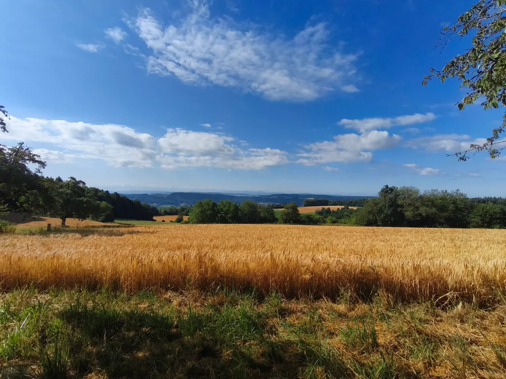 Sommer: Unser Blick zur Schweiz