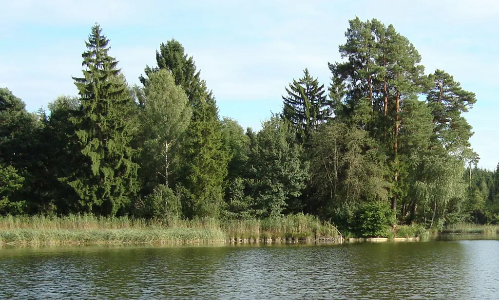 Schönes Plätzchen neben Biohof