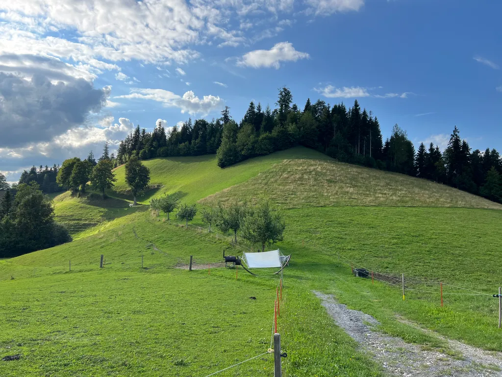 Image de Alessandro pour le spot 311