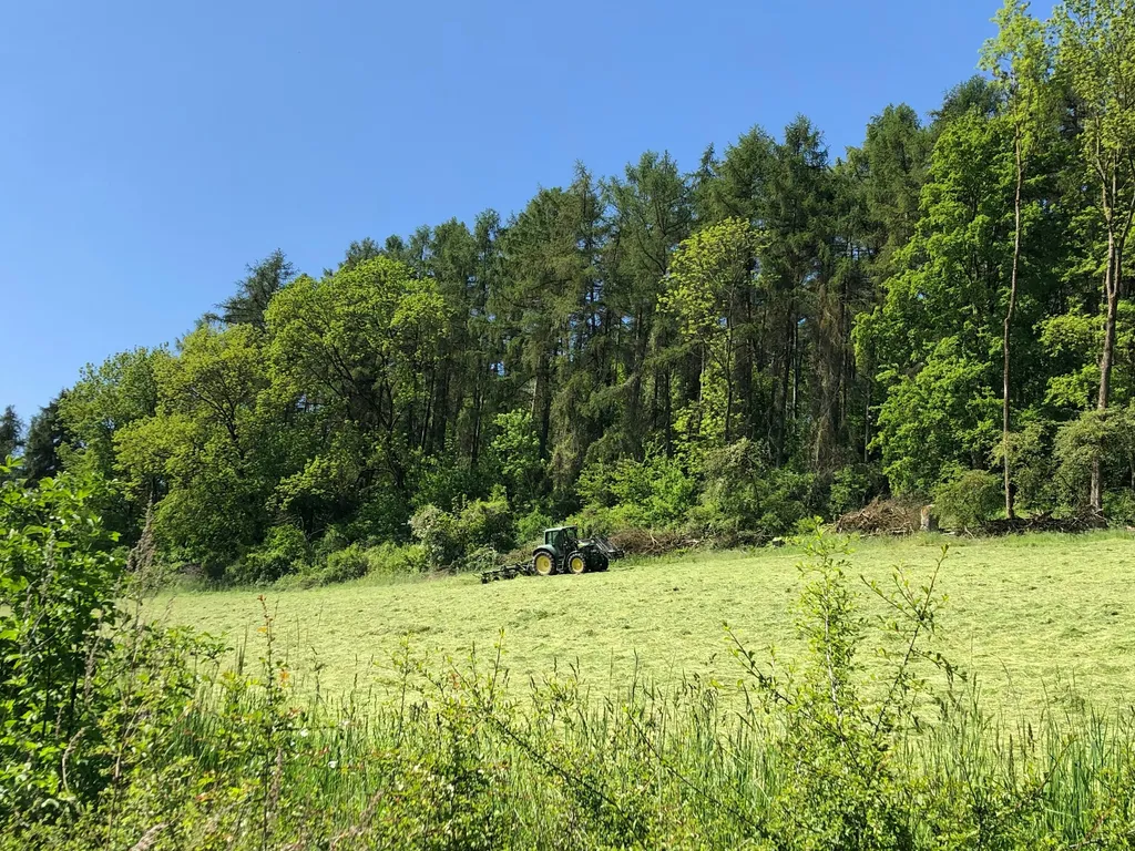 Ehem. Sägewerk Leinetal -> Brocken