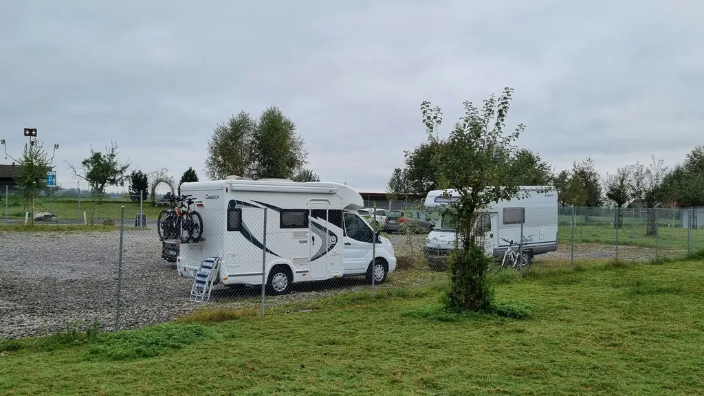 Hirschpark live - Nah am Wild sein